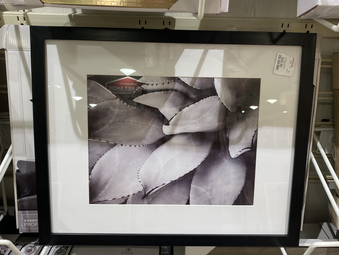 Enlarge photo 45