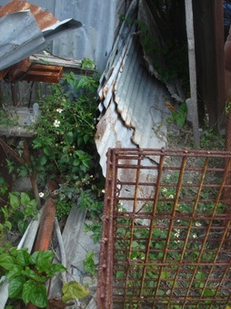 Enlarge photo 87