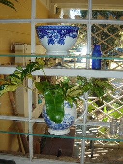 Enlarge photo 45