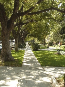 Enlarge photo 107