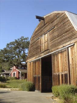 Enlarge photo 5