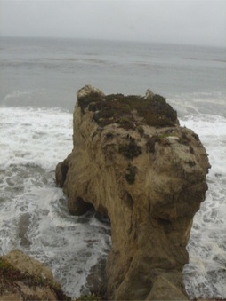 Enlarge photo 112