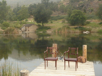 Enlarge photo 23