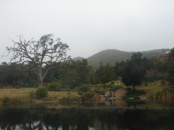 Enlarge photo 24