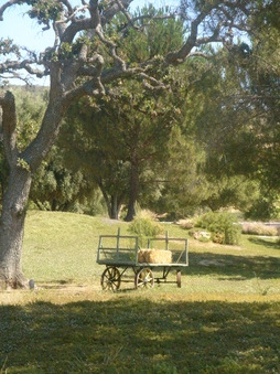 Enlarge photo 28