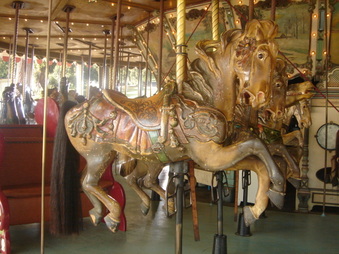 Enlarge photo 59