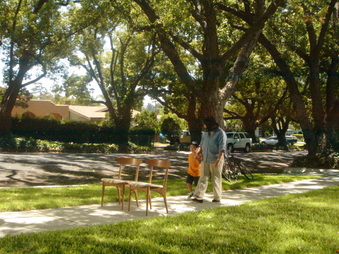 Enlarge photo 83