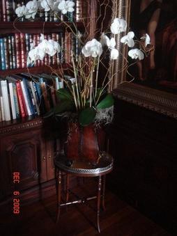 Enlarge photo 92