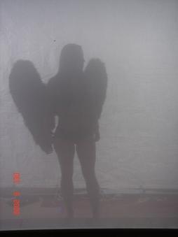 Enlarge photo 95