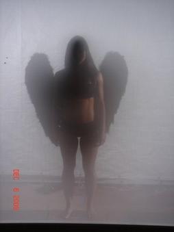 Enlarge photo 96