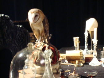 Enlarge photo 3