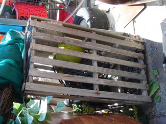 Enlarge photo 28