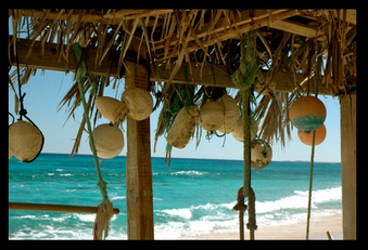 Enlarge photo 58