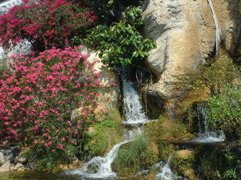 Enlarge photo 17