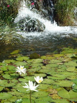 Enlarge photo 16
