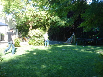 Enlarge photo 85