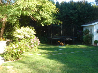Enlarge photo 97
