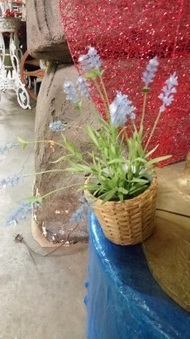 Enlarge photo 12