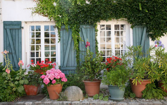Enlarge photo 16