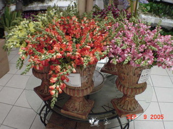 Enlarge photo 270