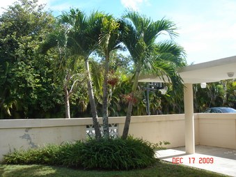 Enlarge photo 27