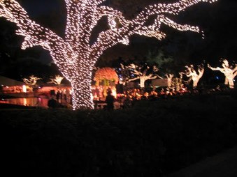 Enlarge photo 23