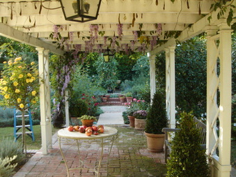 Enlarge photo 74