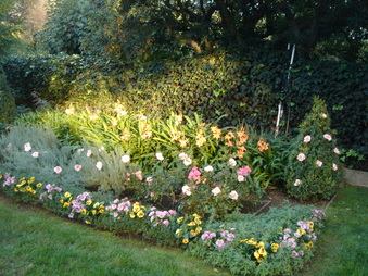 Enlarge photo 28