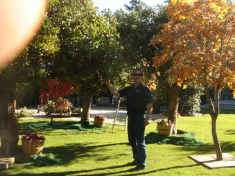 Enlarge photo 56