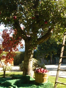Enlarge photo 57