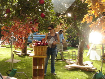 Enlarge photo 63