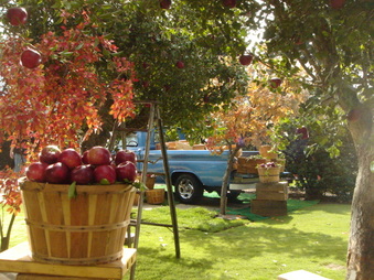 Enlarge photo 5
