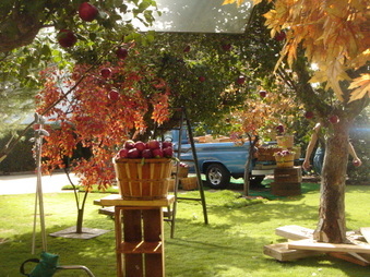 Enlarge photo 59