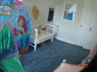 Enlarge photo 84