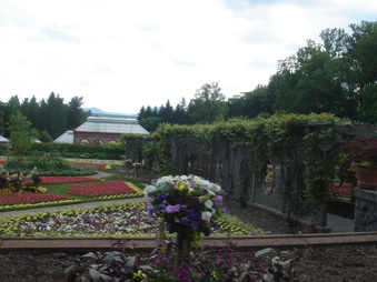 Enlarge photo 124