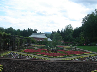 Enlarge photo 125