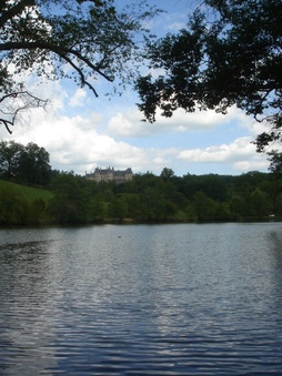 Enlarge photo 127