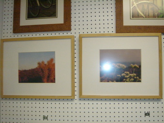 Enlarge photo 45