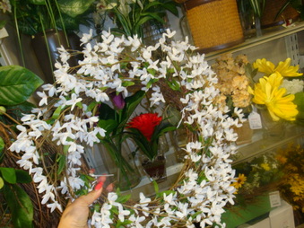 Enlarge photo 229