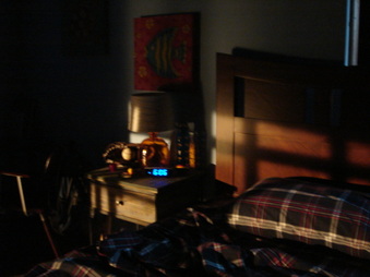 Enlarge photo 173