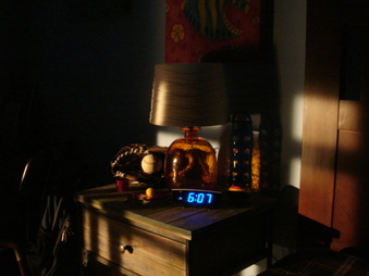 Enlarge photo 177