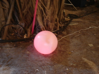 Enlarge photo 12