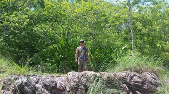 Enlarge photo 38