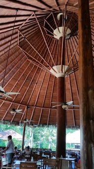 Enlarge photo 55