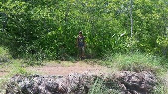 Enlarge photo 74