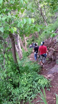 Enlarge photo 49