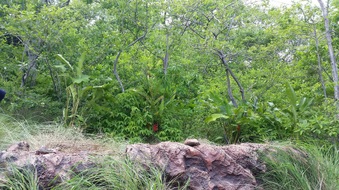 Enlarge photo 82