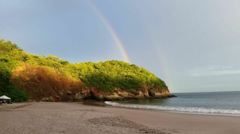 Enlarge photo 58