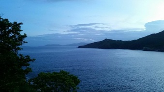 Enlarge photo 67