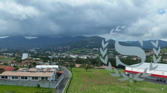 Enlarge photo 53